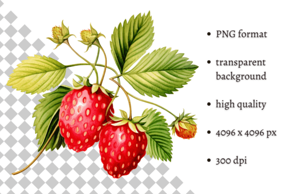 Bringing the Serene Magic of Watercolor Woodland Wild Strawberries to Your Creative Workflow