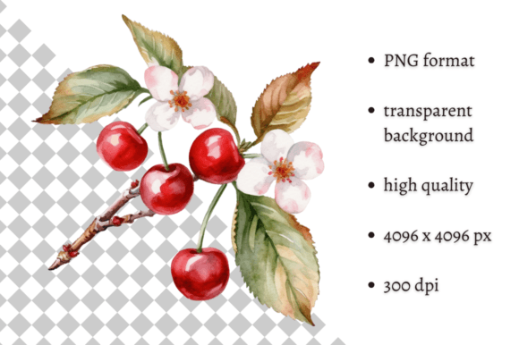 Watercolor Cherry Treats PNG Clipart: Elevating Your Creative Projects