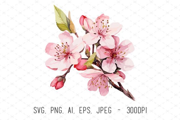 Watercolor Pink Cherry Blossom Flowers: A Practical Evaluation
