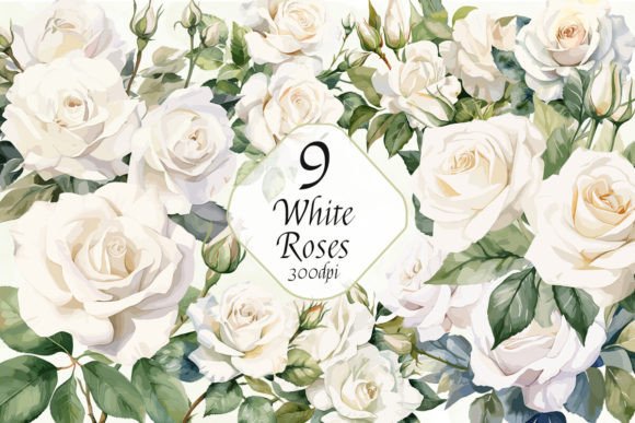 White Roses Sublimation Clipart Bundle